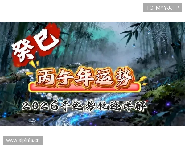 开运网站app：提供个性化的运势分析与建议