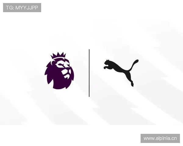 乐鱼体育app官方版下载后如何优化使用体验，提升赛事观看和竞猜的便捷性